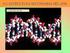 ADN. Estructura primaria del ADN. Cadena lineal de nucleótidos que se unen por enlace fosfodiéster en sentido carbono 5 3 Nucleótidos