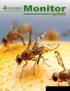 Problema: La Mosca de la fruta Del genero Anastrepha Causa grandes perdidas. Por retraso del Desarrollo de La Industria, Disminuyendo exportación