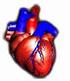 Ciclo Cardiaco -Guía de Estudio PARTE II - Presión arterial.