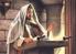La Vida de Cristo del Evangelio de Mateo #67 : Enviados por Jesús