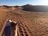 El gran desierto del Sáhara: Erg Chigaga