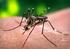 Boletín Epidemiológico de situación de dengue por la Comisión Especial de análisis para la Determinación Social de la Salud (CDSS)