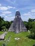 Abundancia de Jaguares en El Parque Nacional Tikal, Reserva de la Biosfera Maya