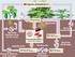 Ecosistemas bacterianos y ciclos biogeoquímicos