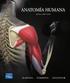 INDICE. El esqueleto. 1. ANATOMIA IMPLICADA EN LAACTIVIDAD FÍSICA 1.1. Los Huesos Las articulaciones Los músculos esqueléticos.