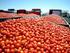 El Tomate para Industria