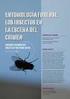 PALABRAS CLAVES Entomofauna, Diptera, cerdo en descomposición, indicadores forenses.