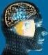 Las emociones y su relación con la UCCM (unidad cuerpo cerebro mente) Monografía- trabajo final curso Capacitación Docente en Neurociencias