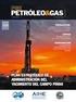 Yacimientos de Petróleo Sub & Sup Integrados al Fin. Ing. Alfredo García