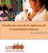 Estudio de caso de la vigilancia de la mortalidad materna PAÍS: MÉXICO