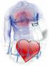 Fisiología y envejecimiento Sistema cardiovascular. Tema 8