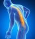 Lesiones de la médula espinal