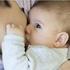 - Ley No. 50 del 23 Noviembre de 1995 Por la cual se protege y fomenta La Lactancia Materna en PANAMA, Que reglamenta la Ley No.