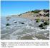 Manejo de la erosión costera