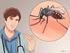 Aspectos generales de los virus Dengue, Chikungunya y Zika