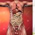 Anatomía: Estudio de las partes del cuerpo humano, órganos, sistemas y aparato locomotor (huesos, músculos y articulaciones)