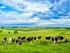 La ganadería extensiva y sus beneficios ecológicos, económicos y sociales para el medio rural.