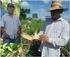 Retos de la implementación del extensionismo con agricultores familiares en América Latina GLORIA ABRAHAM Representante del IICA en México