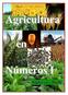 Agricultura en Números. Agricultura. Números I. Ing. Agr. Andrés Halle