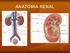 1. Líquidos corporales. 2. Anatomía y función renal. 3. Hormonas ADH y aldosterona