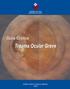 Guía Clínica 2009 Trauma Ocular Grave
