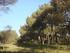 Estructura de la propiedad forestal en Castilla-La Mancha