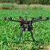 LOS DRONES COMO HERRAMIENTA EN LA AGRICULTURA DE PRECISIÓN