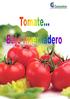 TABLA DE CONTENIDO. Cultivo Hortalizas. 1. Descripción. 2. Hortalizas Tomate Bajo Invernadero.