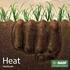 Heat : El primer herbicida con el poder de Kixor Ing. Martin Gries Gerente Tècnico de BASF. Kixor is a trademark of BASF BASF Corporation.
