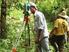 Monitoreo de la cobertura forestal en la Reserva de Biosfera Maya para el periodo