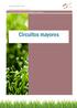 PARQUES INFANTILES CRISELA Ficha Técnica elementos biosaludables y deportivos Circuitos mayores