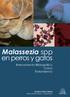 Malassezia spp. en perros y gatos