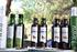Encuesta sobre hábitos de compra y consumo de aceite de oliva en Extremadura.-