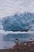 Los secretos climáticos de la Antártida Cartel 5. Descifrando la historia climática de la Antártida