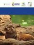 Espacios utilizados para mantenimiento de Nutria Neotropical