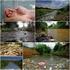 Informe sobre el estado del recurso hídrico en el municipio de Santiago de Cali