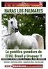 HARAS LOS PALMARES. La genética ganadora de EEUU, Brasil y Uruguay!! MIERCOLES 16 DE DICIEMBRE 2015, Hora 19 - LOCAL CECADE, MONTEVIDEO