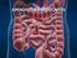 Epidemiología. Estructura y fisiología del estómago y del duodeno. Estómago. Anatomía e Histología del Estómago
