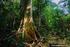 Fauna amazónica peligrosa: riesgos sanitarios para el ser humano en el campo y en laboratorio