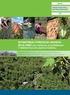 OSINFOR II FORO: Bosques, Ambiente y Desarrollo Rol del OSINFOR en el Desarrollo Sostenible de los Bosques Tropicales del Perú