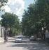 Obtención de Árboles Tipo para la Gestión del Arbolado Urbano de Santiago del Estero (Argentina)
