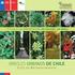 Especies recomendadas para la. para la arborización urbana de Montería, Colombia.