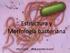 Estructura y Morfología bacteriana 6:41