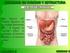 Tema 3.-Anatomía y fisiología del sistema digestivo A.-Anatomía del tubo digestivo B.-Anatomía de las glándulas anejas C.-La digestión: tratamientos