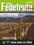 ISSN REVISTA AGOSTO 2015 / Nº141. Replanteamiento de los sistemas de conducción para uva de mesa: La Y toma color en Chile