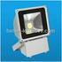FOCOS LED (Floodlight)