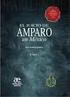 El Juicio de Amparo como medio jurisdiccional de control de constitucionalidad. Dr. Germán Eduardo Baltazar Robles