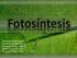 Unidad 9: Fotosíntesis