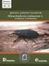 Rhynchophorus palmarum L. Guía para la elaboración y ubicación de trampas para la captura de