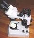 Microscopios estereoscópicos de fluorescencia INFORMACIÓN TÉCNICA. Leica M165 FC Leica M205 FCA Leica M205 FA